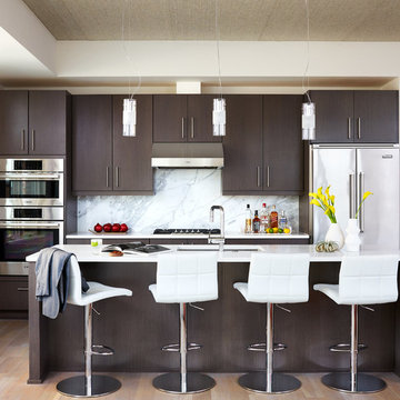 Kalorama Penthouse: Kitchen