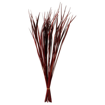Vickerman H2SPG475 28 Red Splinter Grass, 11 oz Bundle, Dried