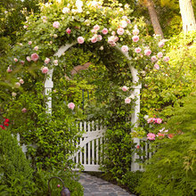 Archways