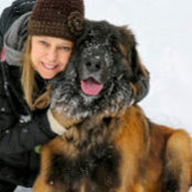 Susan Batdorff's photo