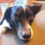 Cindy Johnson's photo