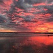 Shiva Cohen Daneshgar's photo