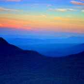 Laura Diven's photo