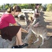 Charlotte Lawrence's photo