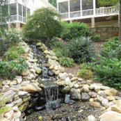 Susan Downing's photo