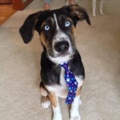 Shawn Willemse's photo