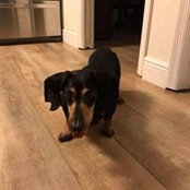 Kathy Klote's photo