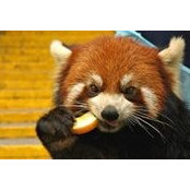 Chris Kaseberg's photo