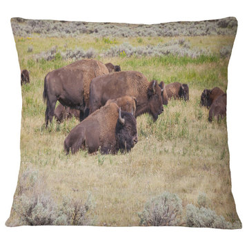 Grazing Gang of Buffalos Animal Throw Pillow, 18"x18"