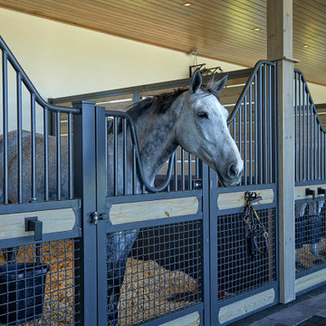 Modern Stables / horse barn