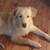 Tammy Ankrom's photo