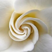 Mary Brown's photo