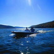Cindy Rosier's photo