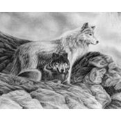 Wendy Noram's photo