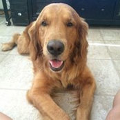 Mallory Nylander's photo