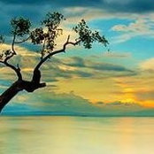 Ann Guins's photo