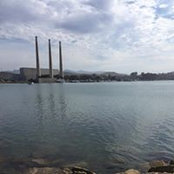 Jennifer Larson's photo