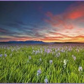 Cindy Johnsons foto