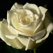 Alicia Folberth's photo