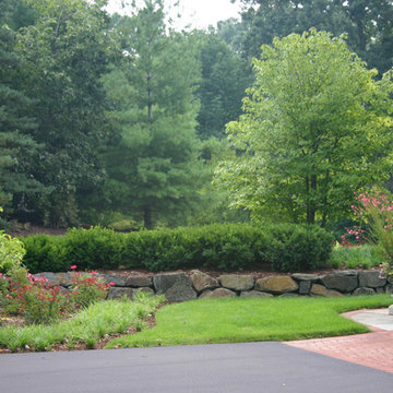 Suburban Oasis