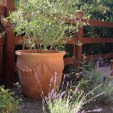 Vegetable Garden