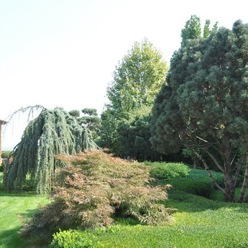 Classic Italian garden. / Классический итальянский сад.