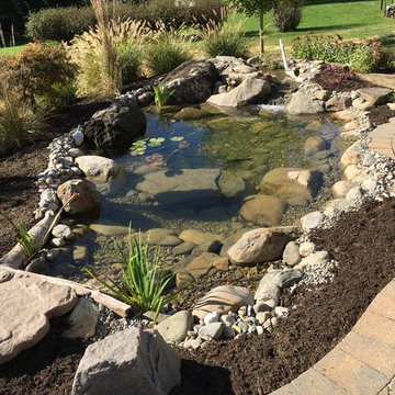 Fish Pond Rebuild