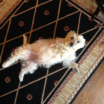 Our Carpet
