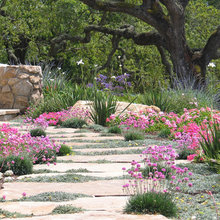 240 Alta Vista Outdoor