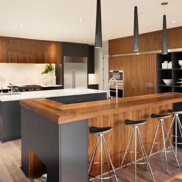 Modern Kitchen Design