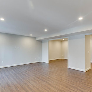 Design ideas for a victorian basement in DC Metro.