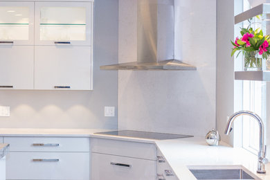 Trendy kitchen photo in Toronto