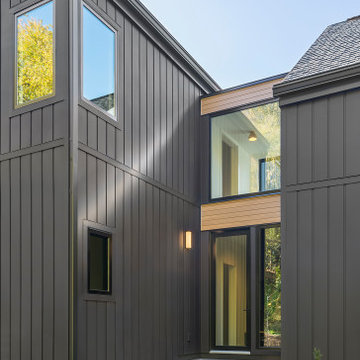 Scandinavian Modern Exterior