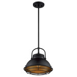 Nuvo Lighting - Nuvo Lighting Upton - 1 Light Large Pendant, Dark Bronze/Gold Finish - Upton; 1 Light; Large Pendant Fixture; Gloss BlackUpton 1 Light Large  Dark Bronze/GoldUL: Suitable for damp locations Energy Star Qualified: n/a ADA Certified: n/a  *Number of Lights: Lamp: 1-*Wattage:60w A19 Medium Base bulb(s) *Bulb Included:No *Bulb Type:A19 Medium Base *Finish Type:Dark Bronze/Gold