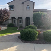 New House 2018
