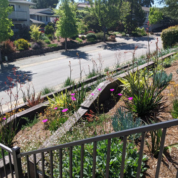 Terraced Curb Appeal & Sloped Backyard Garden