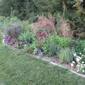 Beth's Garden 2014