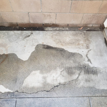 Backyard clean up and remodel