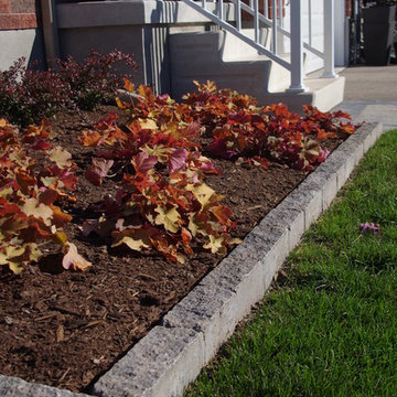 Modern Small Yard