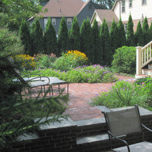 treeline privacy