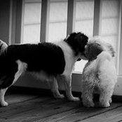 Deanna Sparks's photo