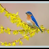 Marigrace Reed's photo