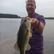 David Fletcher's photo