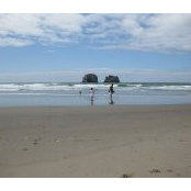 Chad Brown's photo