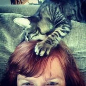 Amanda Lynn's photo