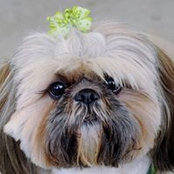Kathy Buck's photo