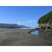 Kim Warman's photo