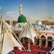 محمد عبد القادر's photo