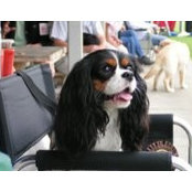 Traci Daoust's photo