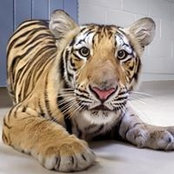 Linda Howard's photo